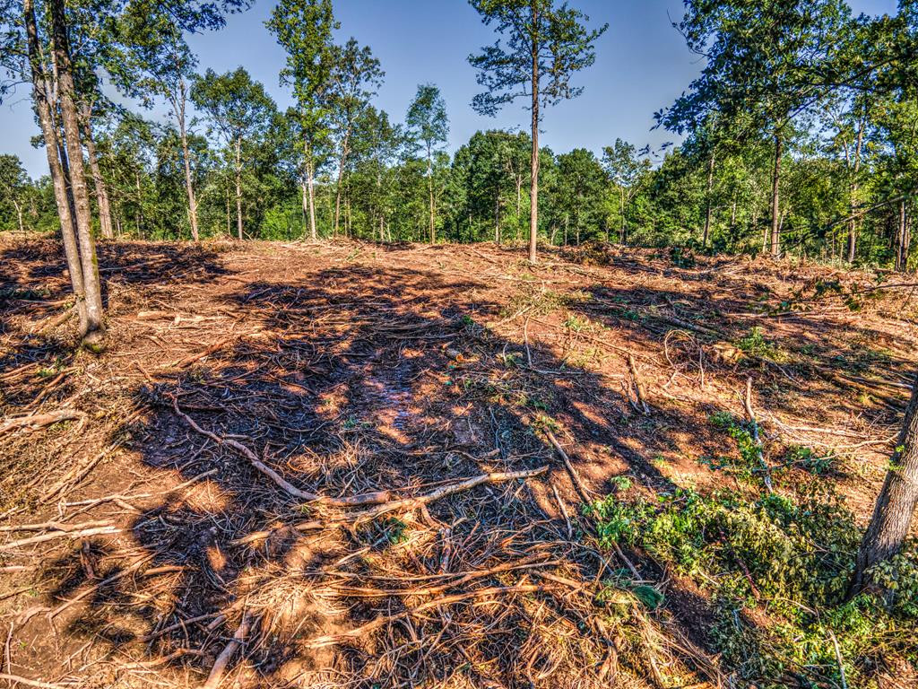 0 Dead Man Road Edgefield, SC 29824 - Photo 50 of 63