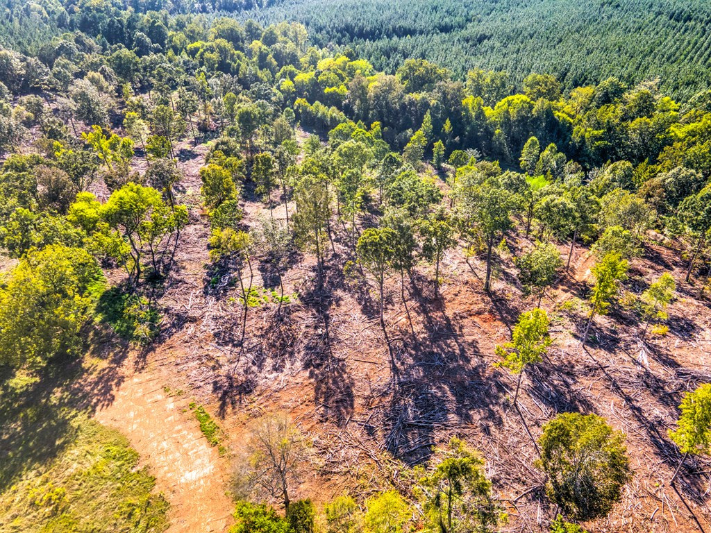 0 Dead Man Road Edgefield, SC 29824 - Photo 5 of 63