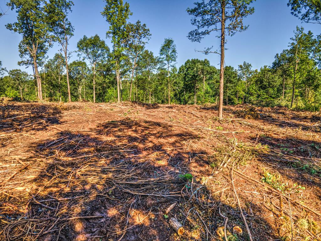 0 Dead Man Road Edgefield, SC 29824 - Photo 51 of 63