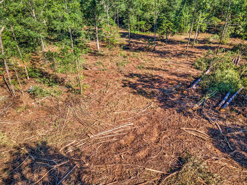 0 Dead Man Road Edgefield, SC 29824 - Photo 54 of 63