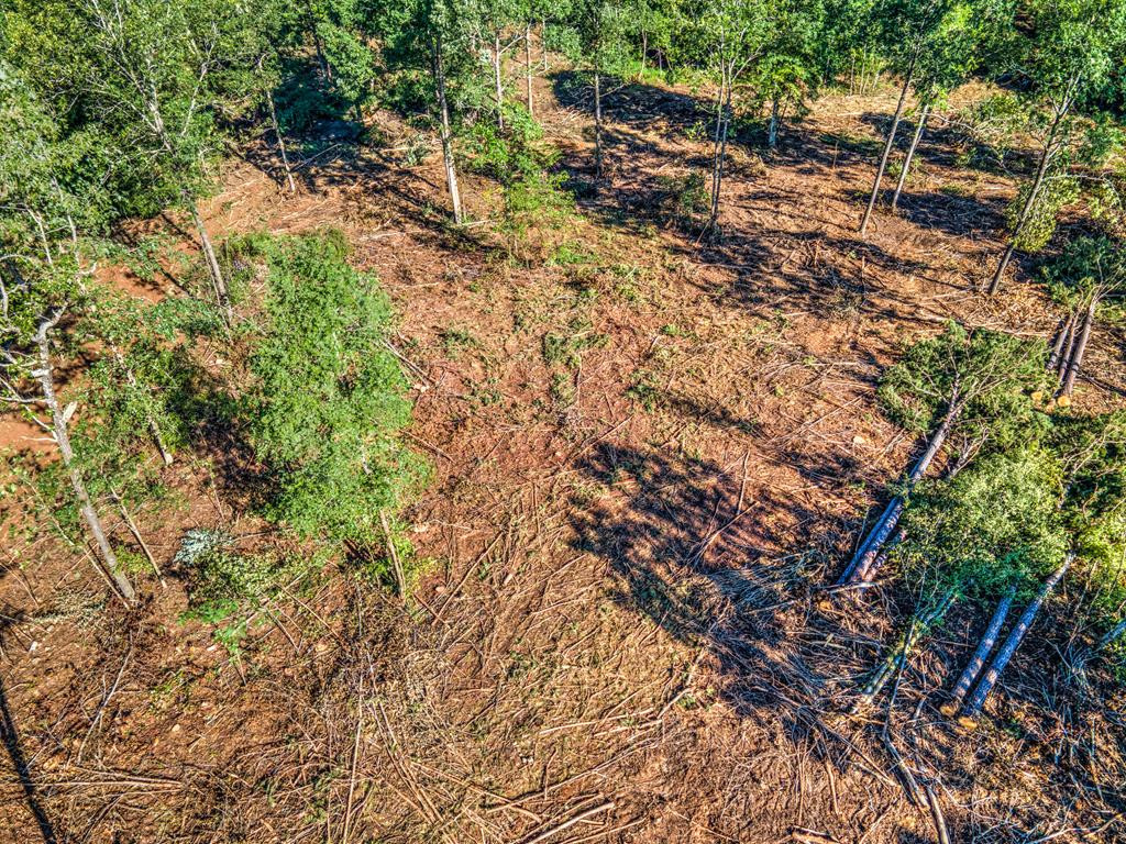 0 Dead Man Road Edgefield, SC 29824 - Photo 55 of 63