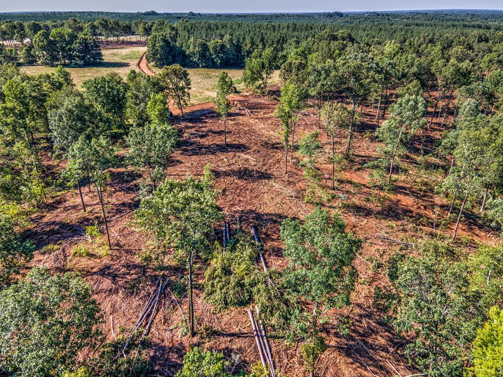 0 Dead Man Road Edgefield, SC 29824 - Photo 56 of 63