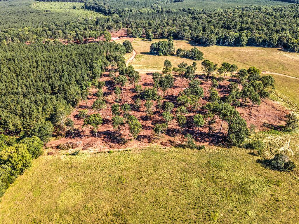 0 Dead Man Road Edgefield, SC 29824 - Photo 58 of 63