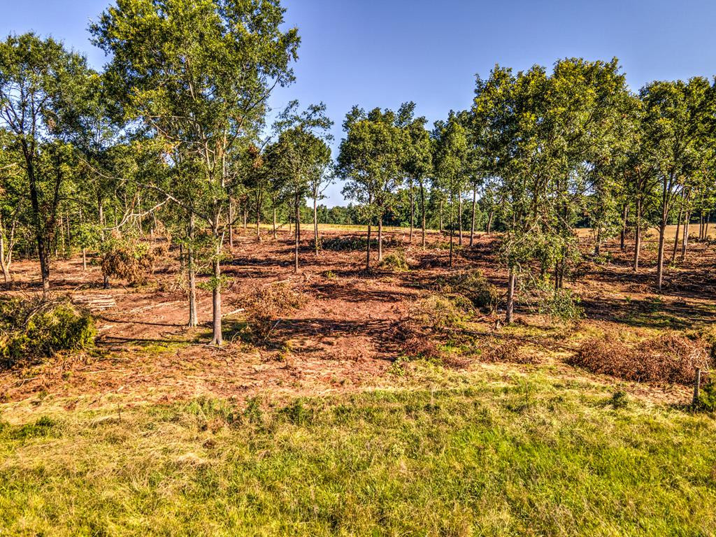 0 Dead Man Road Edgefield, SC 29824 - Photo 59 of 63
