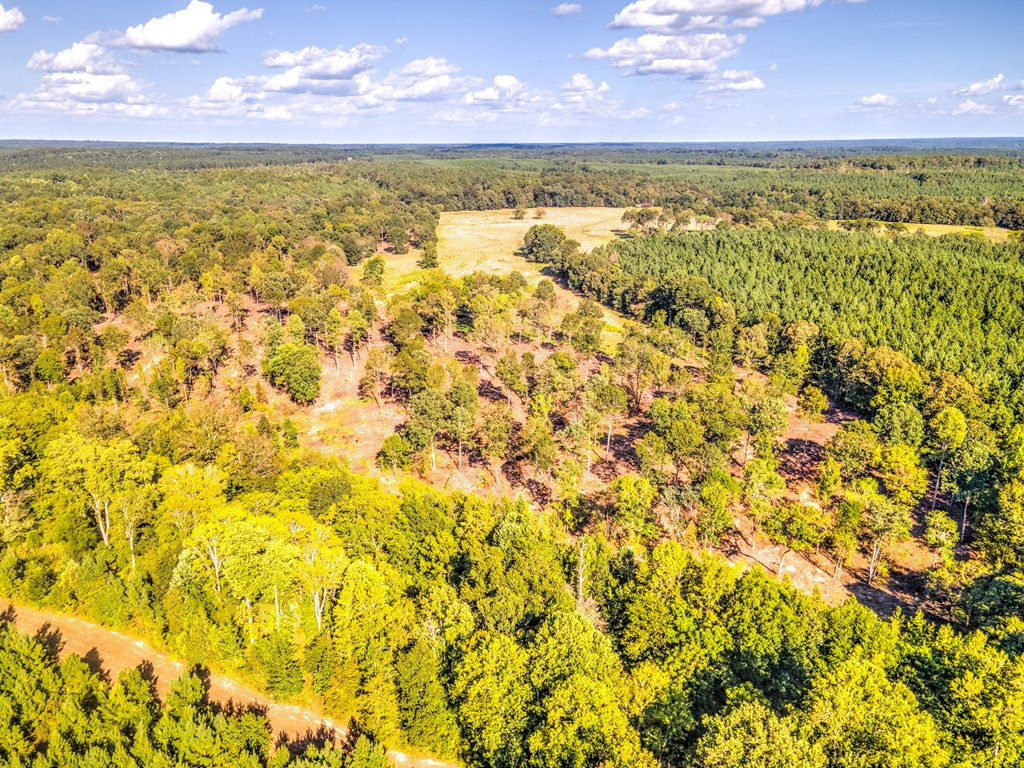 0 Dead Man Road Edgefield, SC 29824 - Photo 6 of 63