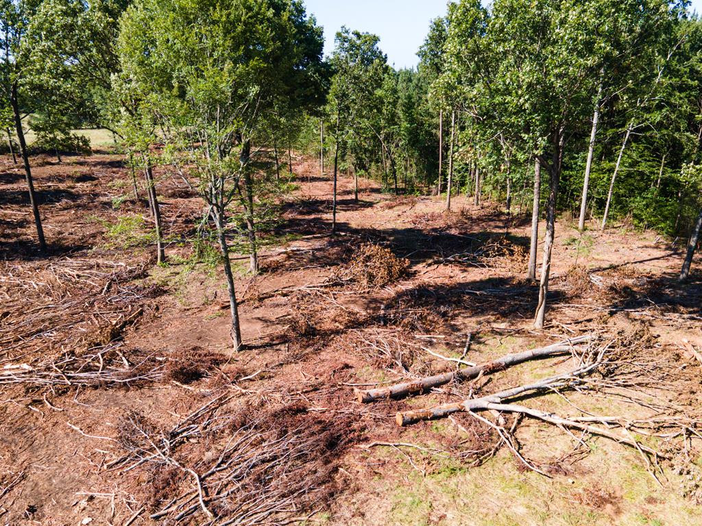 0 Dead Man Road Edgefield, SC 29824 - Photo 63 of 63