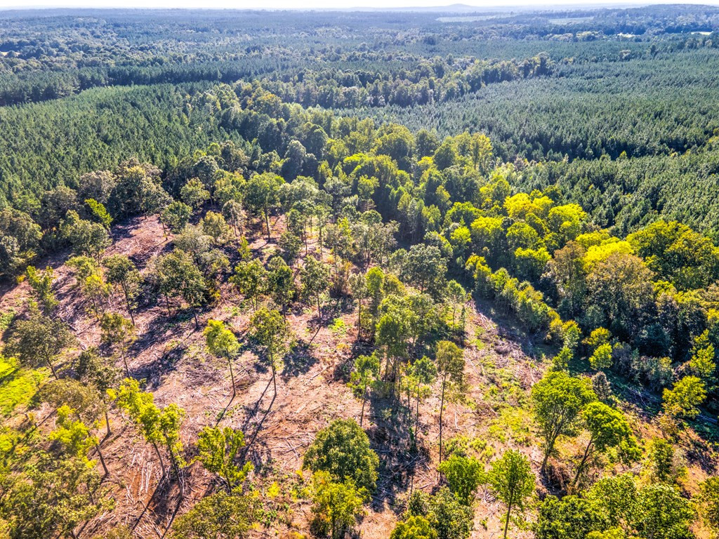 0 Dead Man Road Edgefield, SC 29824 - Photo 8 of 63