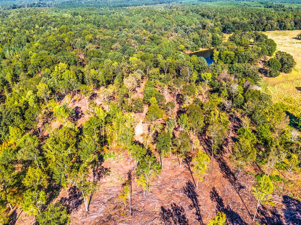 0 Dead Man Road Edgefield, SC 29824 - Photo 9 of 63