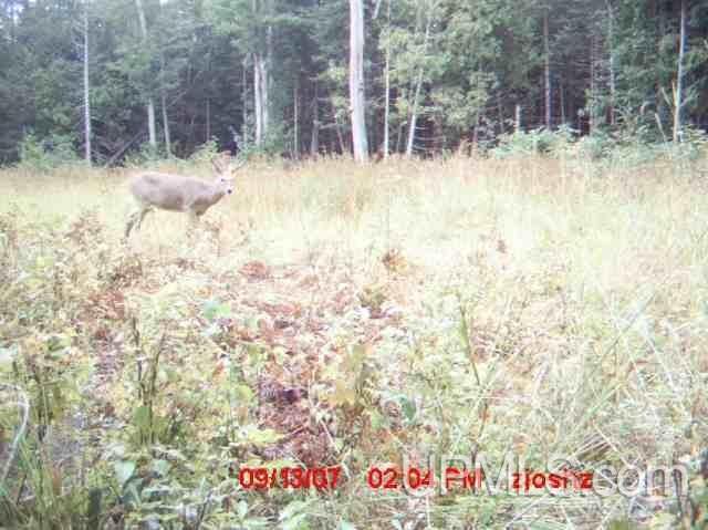 Tbd Irwin Road Baraga, MI 49908 - Photo 11 of 27