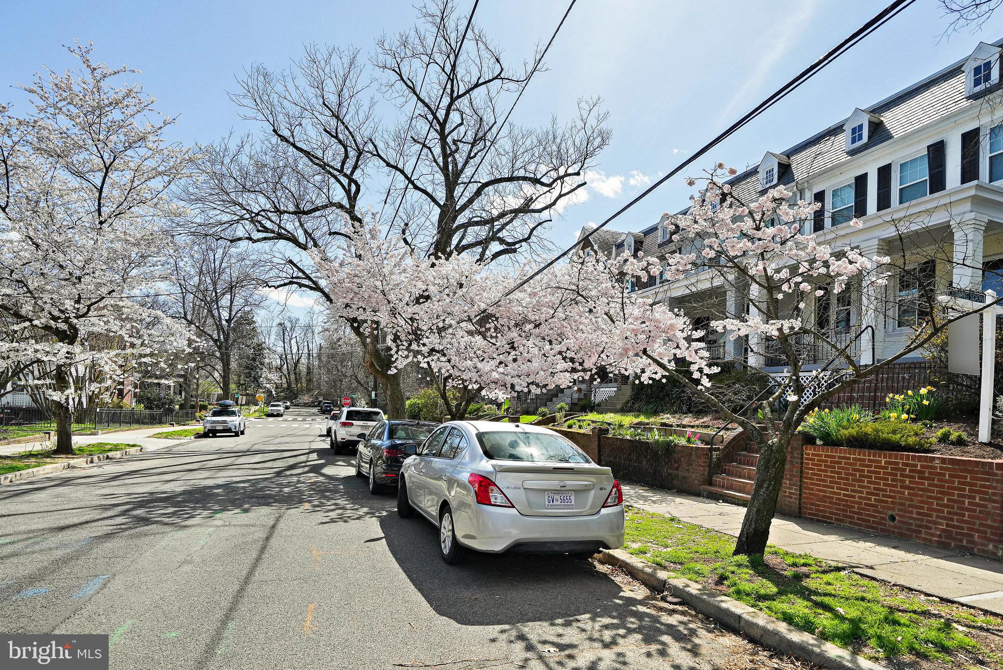 2316 39th Street Northwest Washington, DC 20007 - Photo 4 of 5 Tree Lined Street