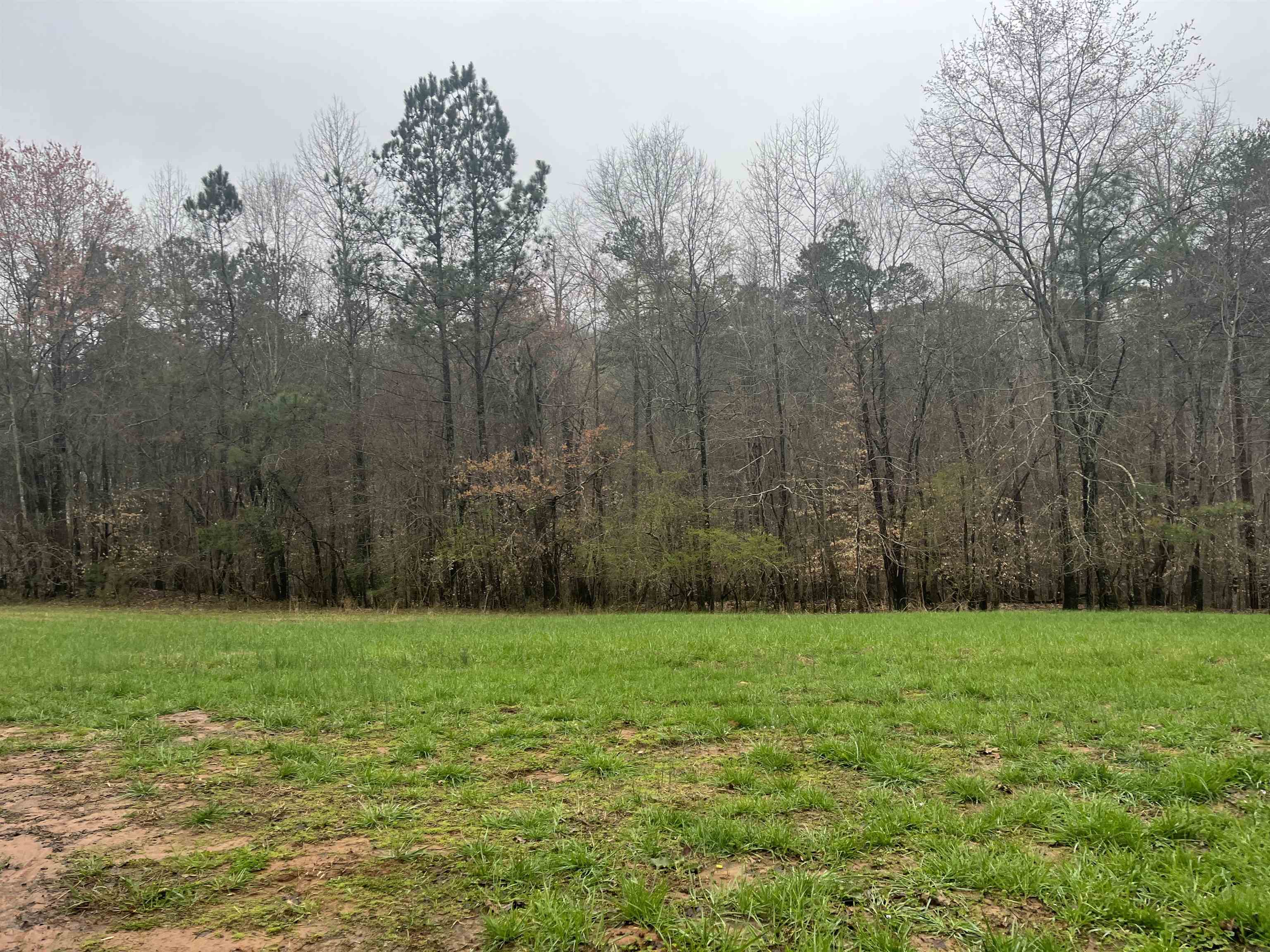 3720 McEver Road Oakwood, GA 30566 - Photo 11 of 73 a view of a field with trees in the background