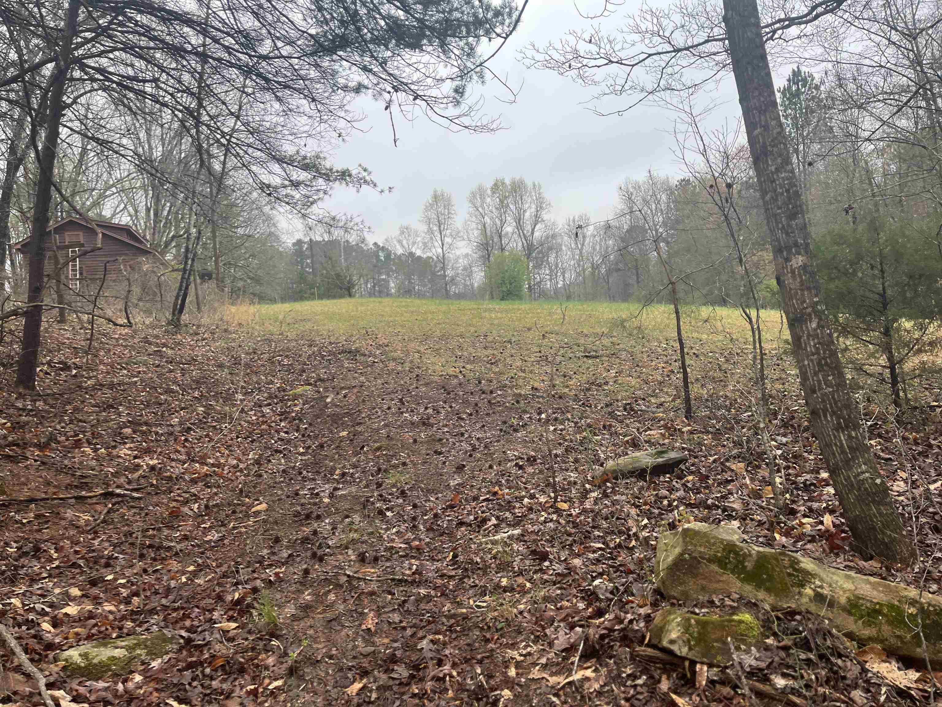 3720 McEver Road Oakwood, GA 30566 - Photo 13 of 73