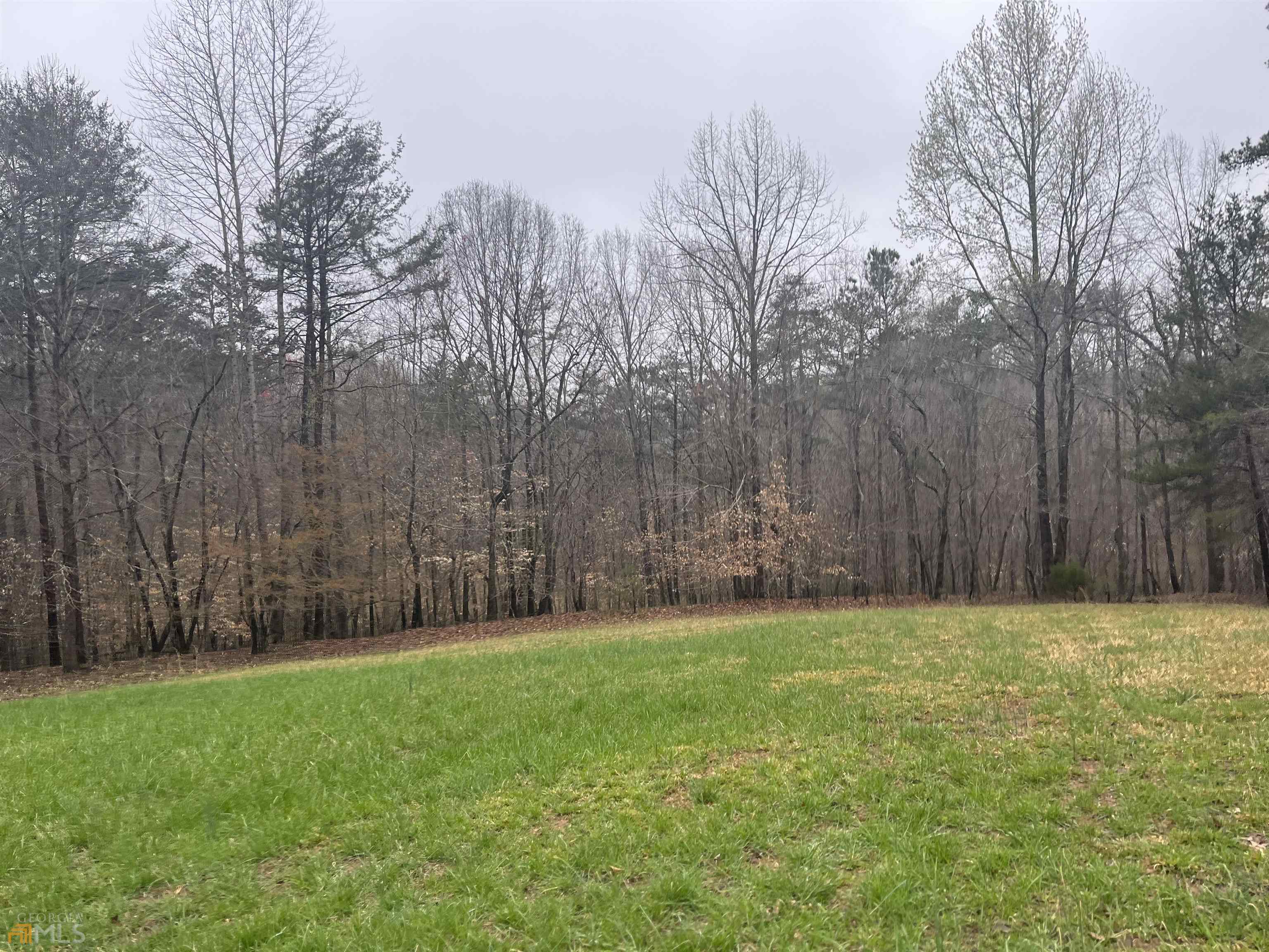 3720 McEver Road Oakwood, GA 30566 - Photo 18 of 73 a view of a yard with large trees