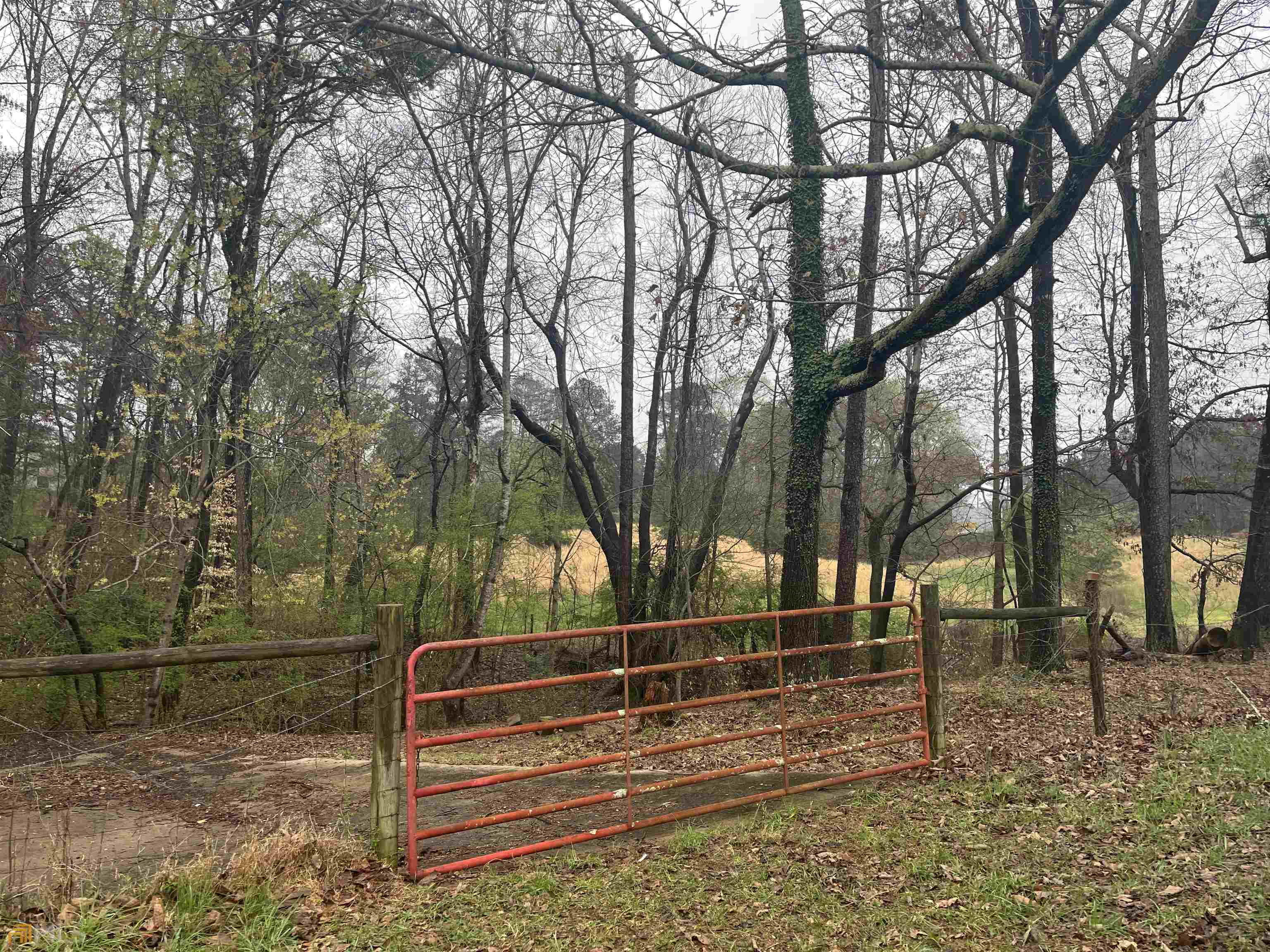 3720 McEver Road Oakwood, GA 30566 - Photo 19 of 73 a view of park with trees