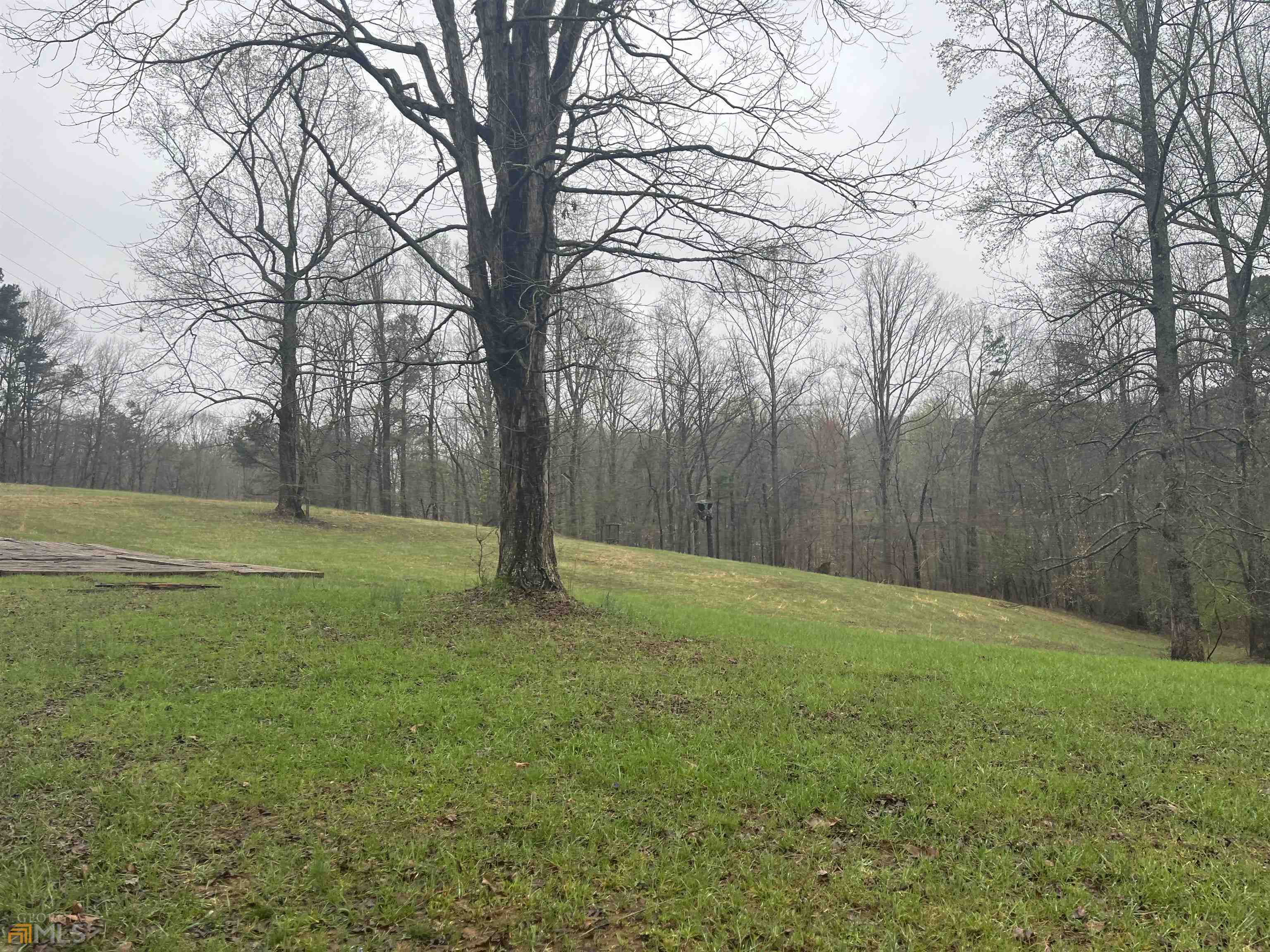 3720 McEver Road Oakwood, GA 30566 - Photo 21 of 73 a view of a field with trees