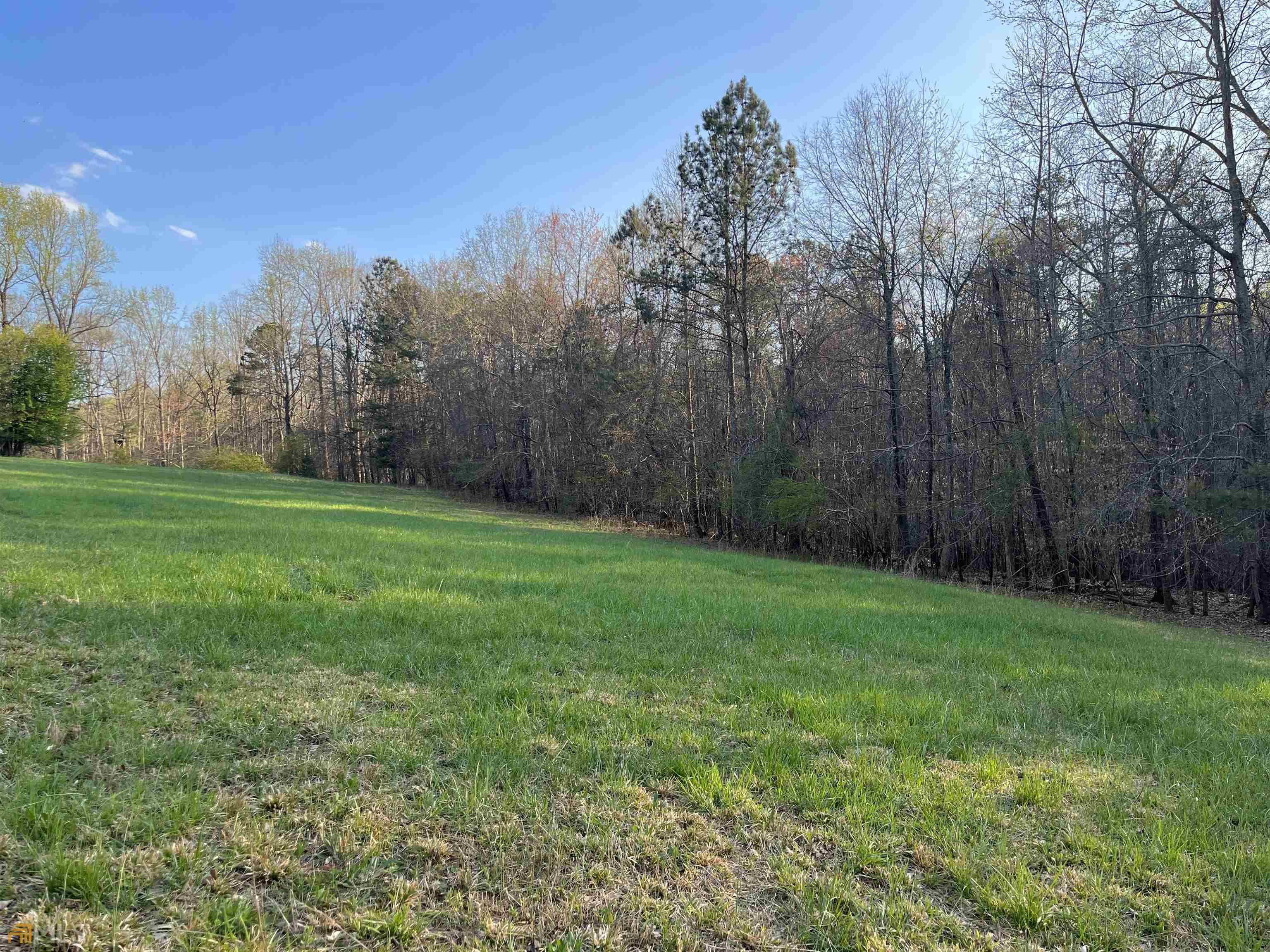 3720 McEver Road Oakwood, GA 30566 - Photo 22 of 73 a view of a yard with trees in the background