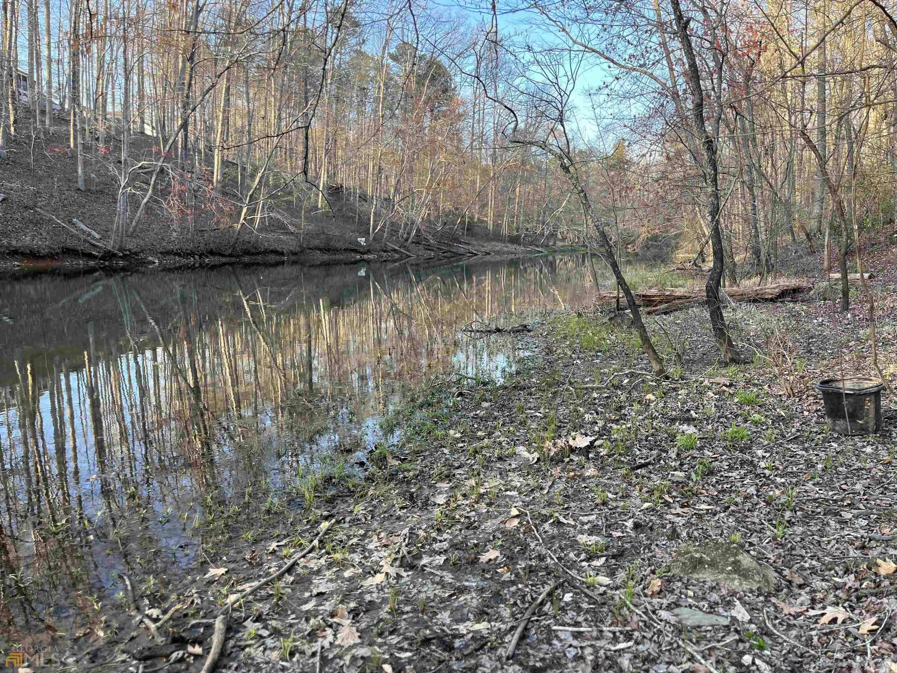3720 McEver Road Oakwood, GA 30566 - Photo 29 of 73 a backyard of a house with lots of green space and fog