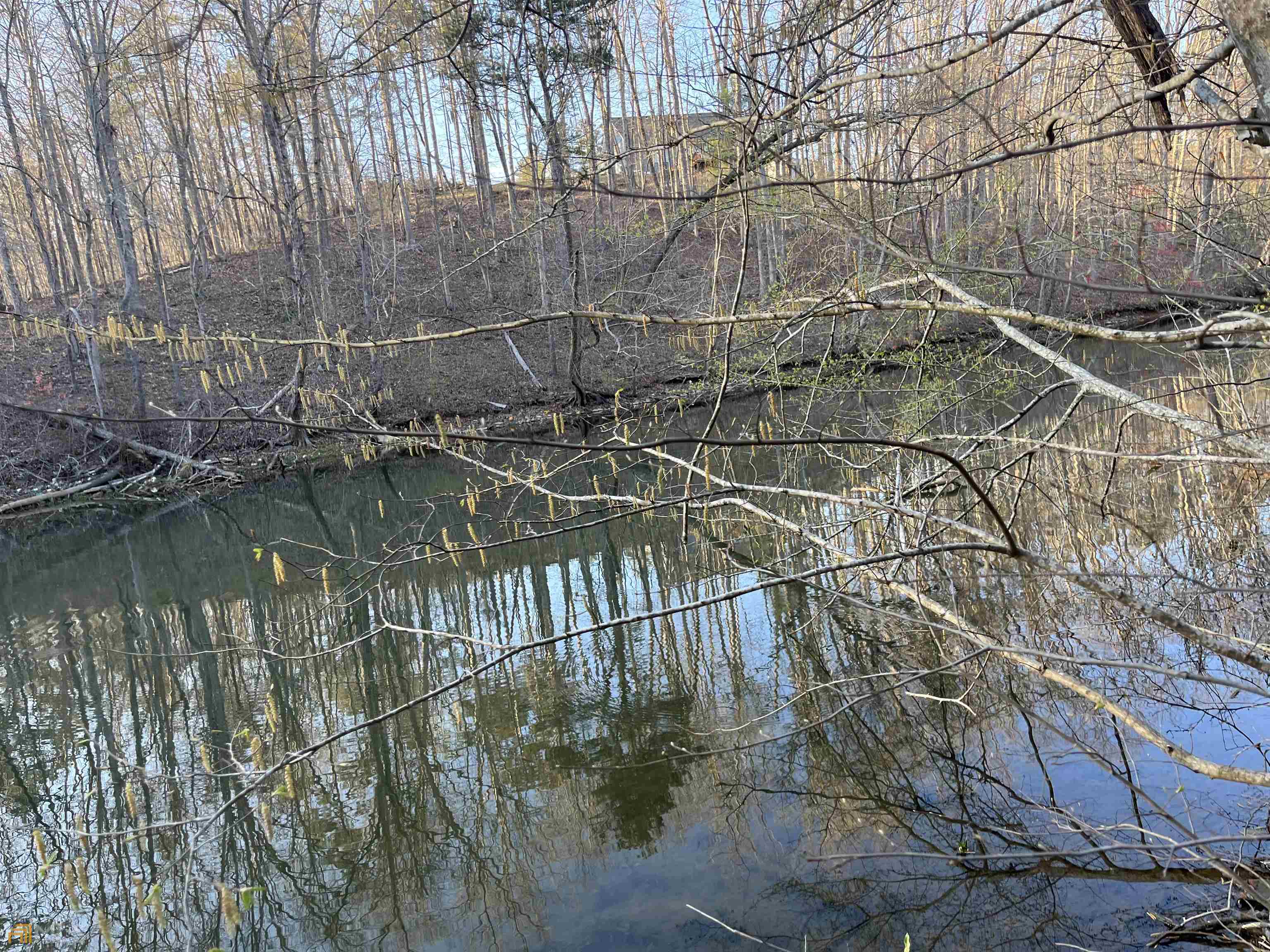 3720 McEver Road Oakwood, GA 30566 - Photo 30 of 73 a backyard of a house