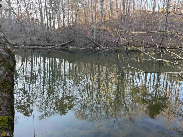 a view of a dry yard with trees