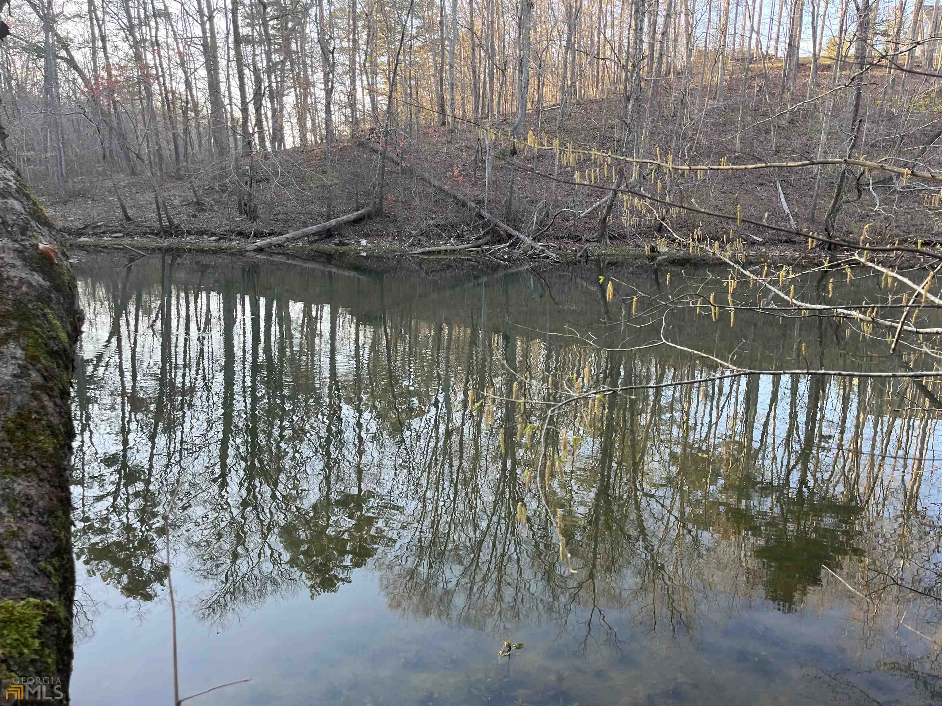 3720 McEver Road Oakwood, GA 30566 - Photo 31 of 73