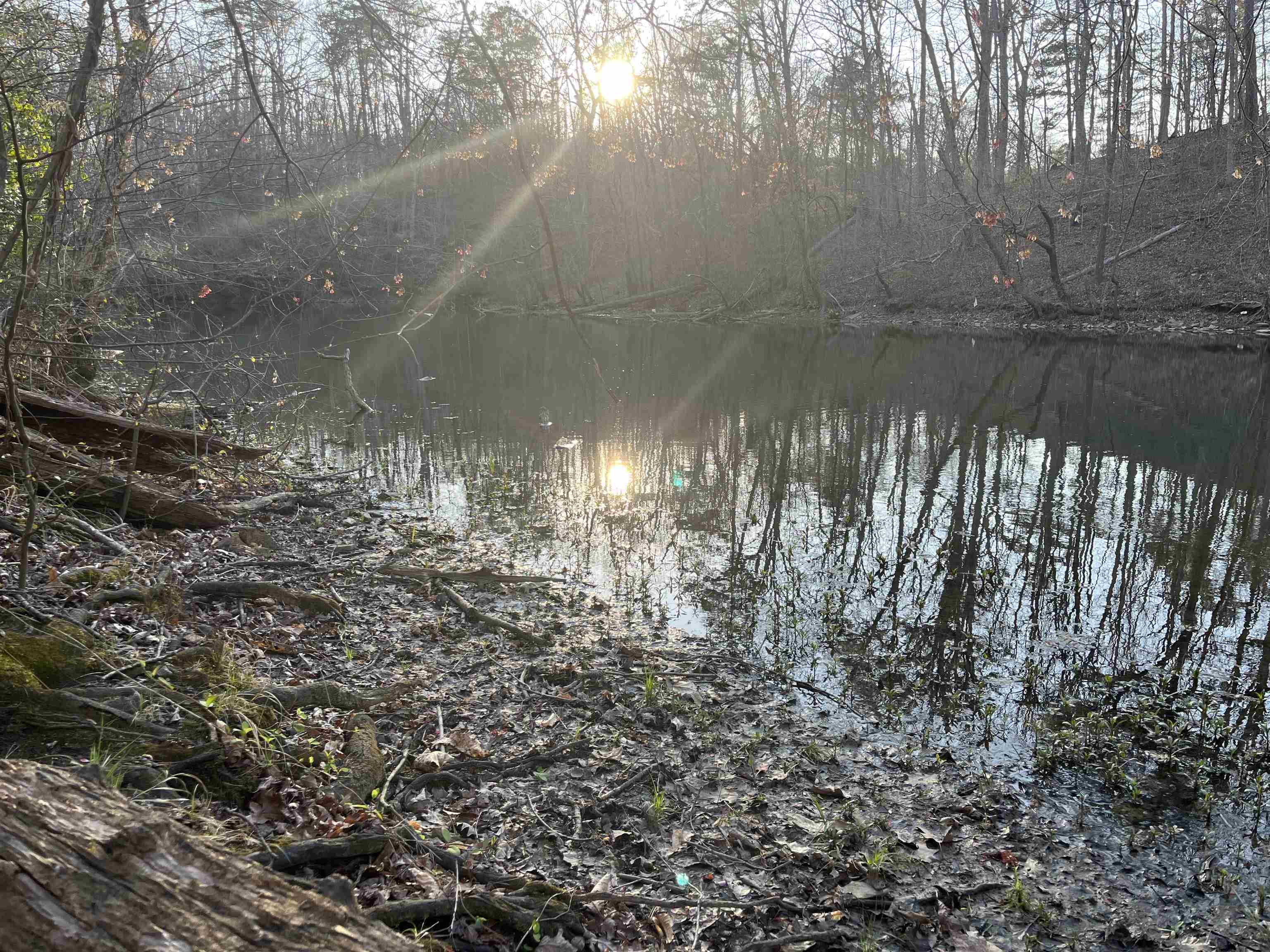 3720 McEver Road Oakwood, GA 30566 - Photo 36 of 73