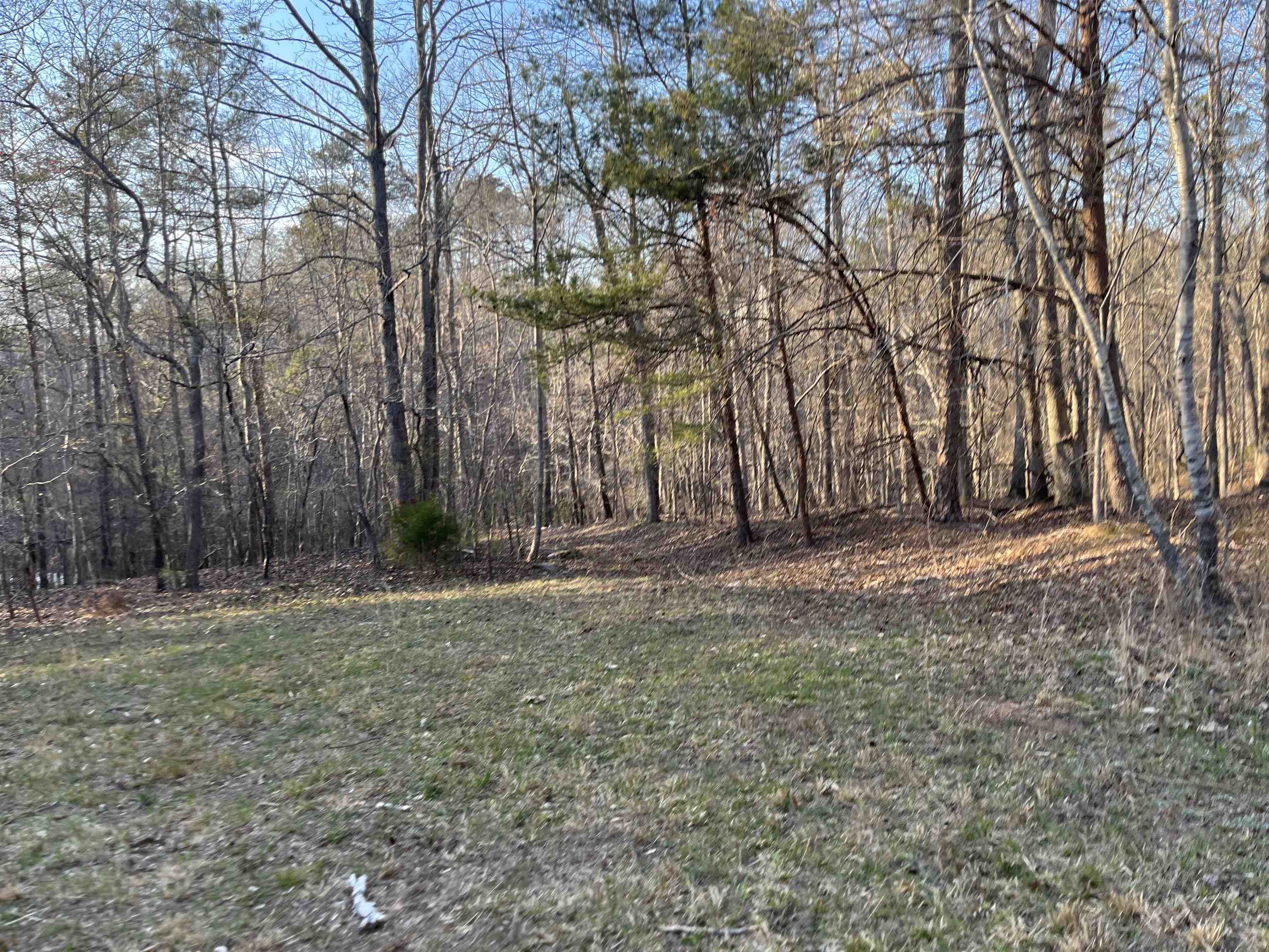 3720 McEver Road Oakwood, GA 30566 - Photo 39 of 73