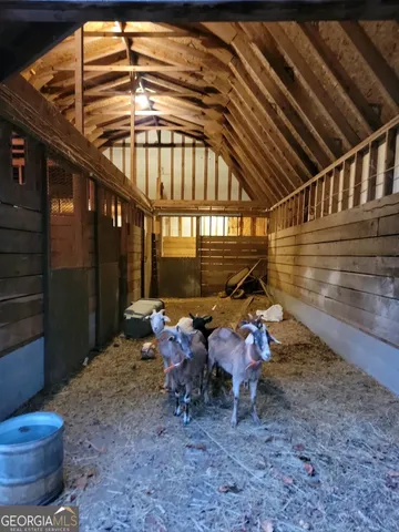 a view of a forest filled with trees