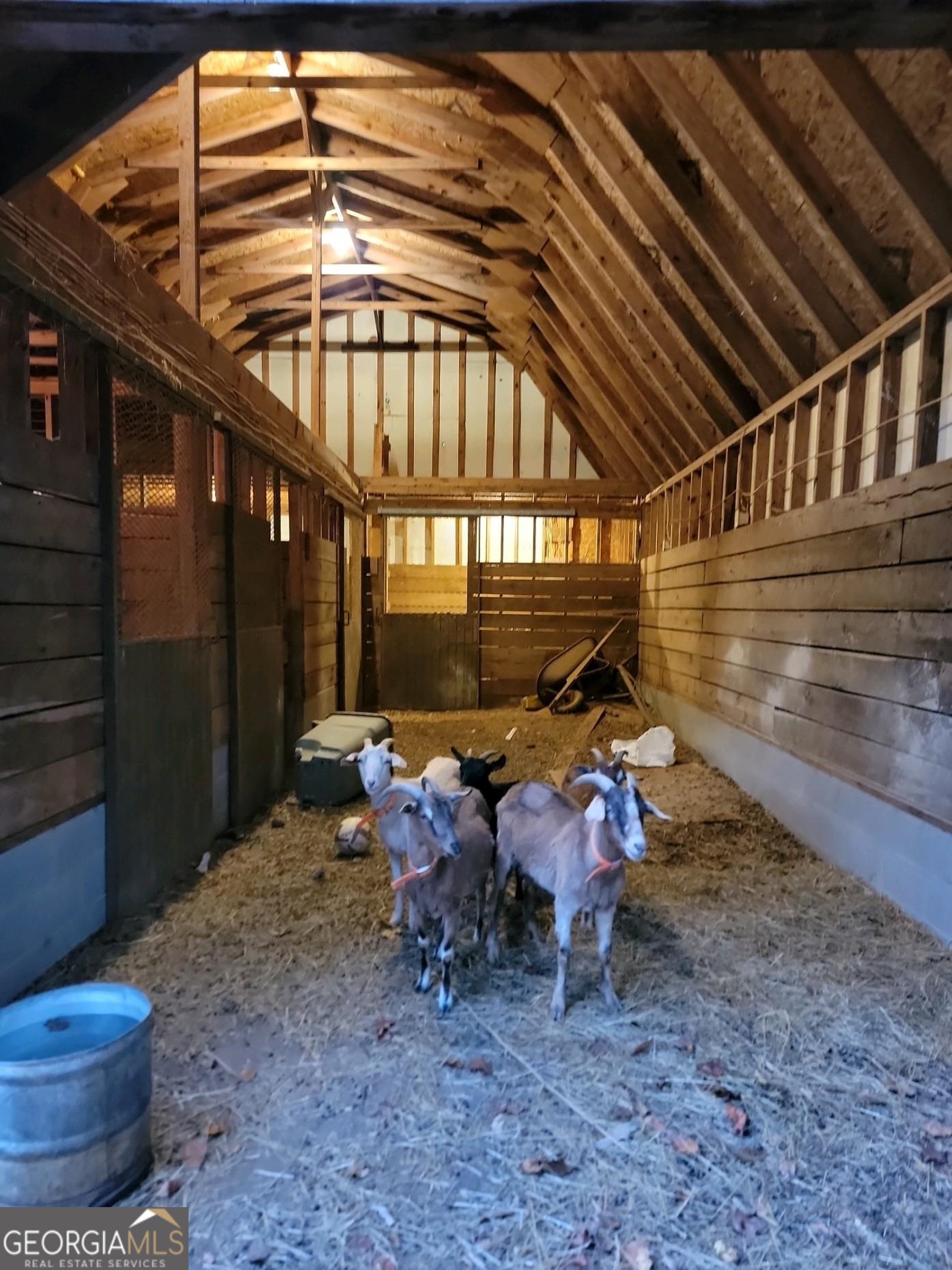 3720 McEver Road Oakwood, GA 30566 - Photo 40 of 73 a backyard with table and chairs