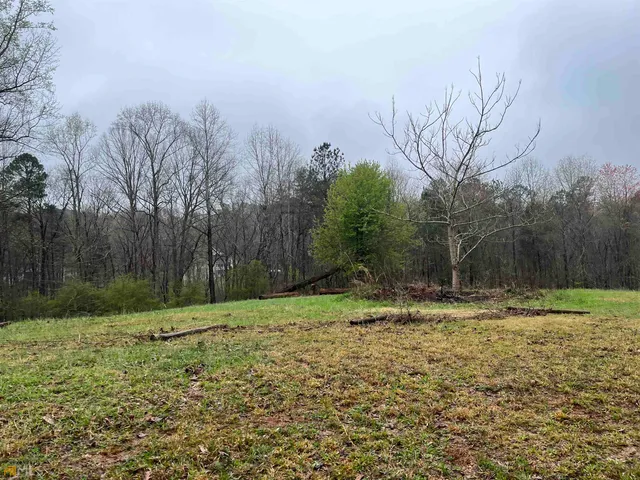 a view of a yard with trees