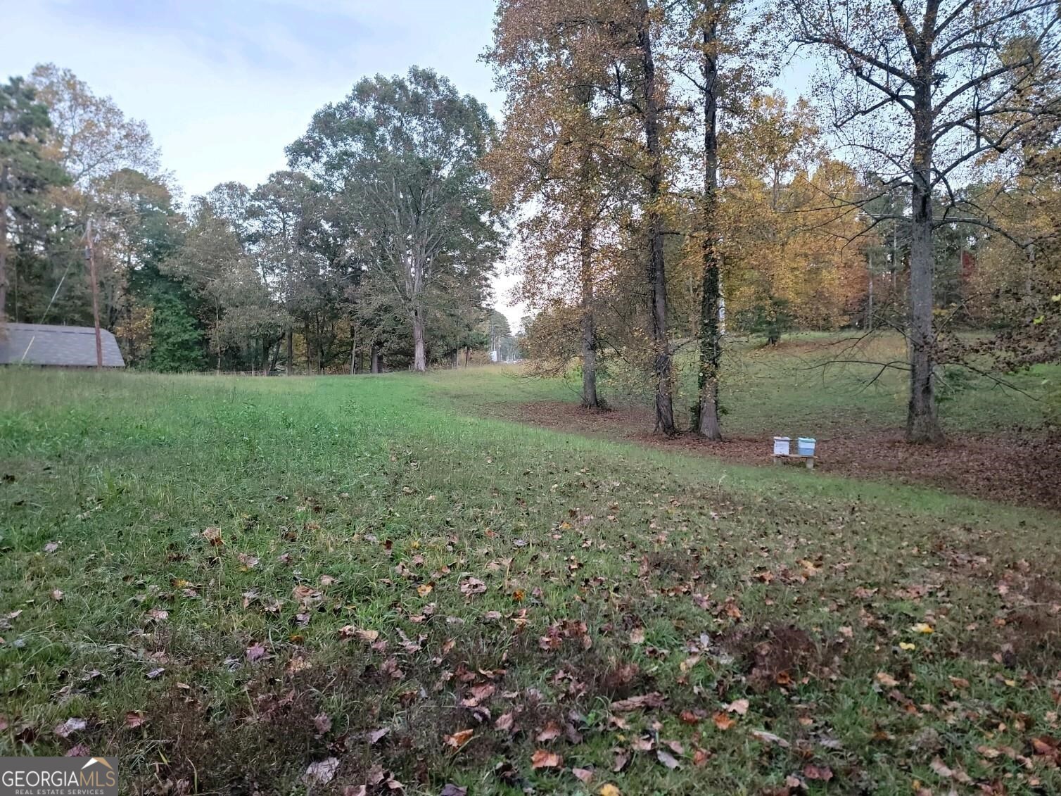 3720 McEver Road Oakwood, GA 30566 - Photo 41 of 73 a view of a garden with a tree