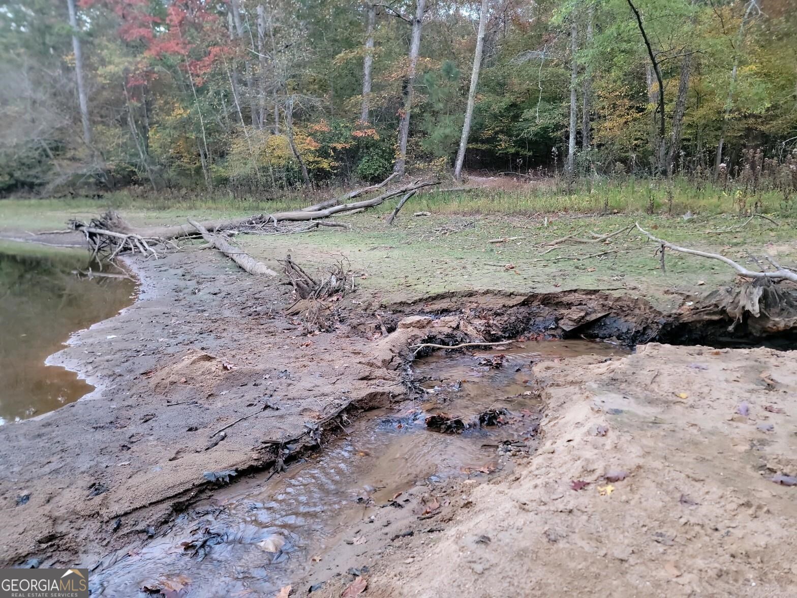 3720 McEver Road Oakwood, GA 30566 - Photo 46 of 73 a view of a dry yard with trees