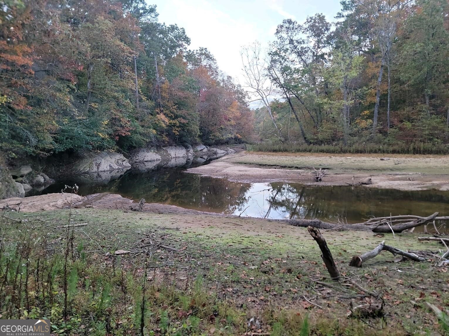 3720 McEver Road Oakwood, GA 30566 - Photo 51 of 73 a view of a backyard with trees