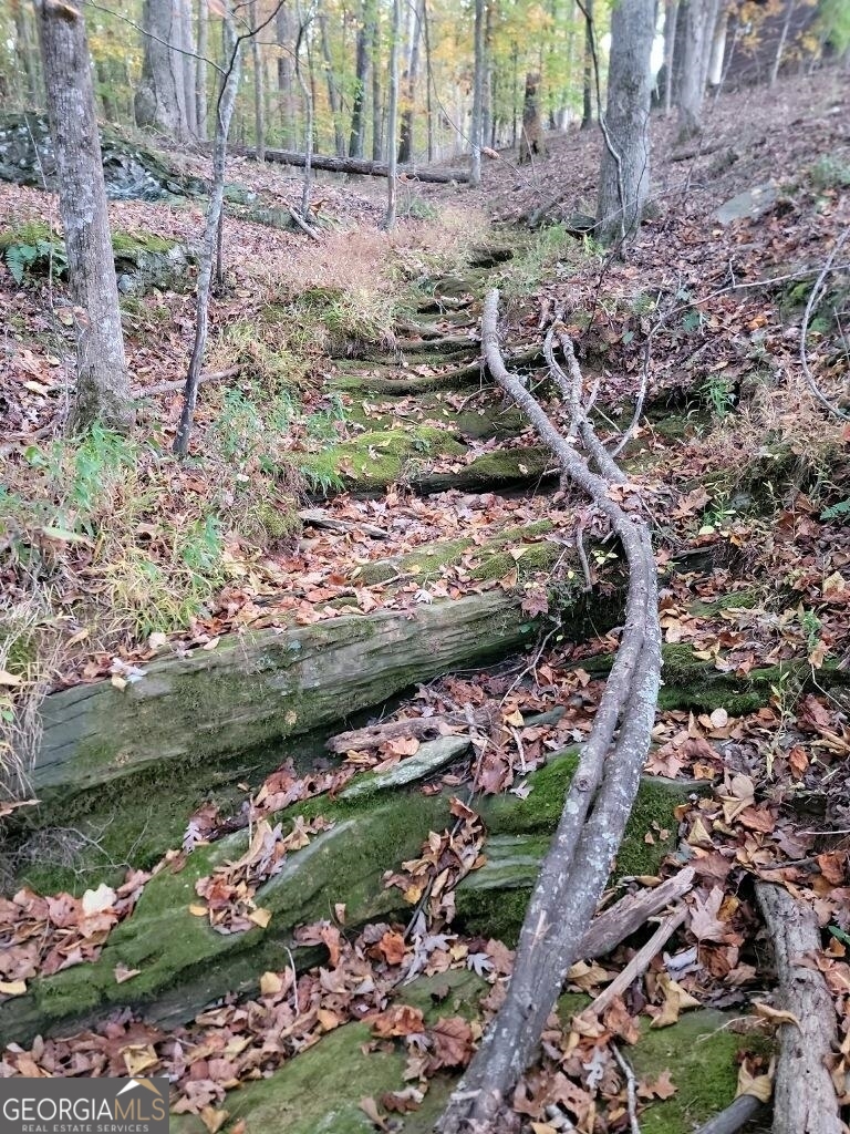 3720 McEver Road Oakwood, GA 30566 - Photo 52 of 73