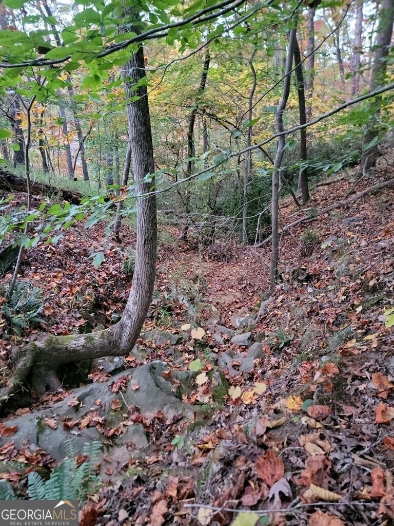 3720 McEver Road Oakwood, GA 30566 - Photo 53 of 73 a view of a backyard