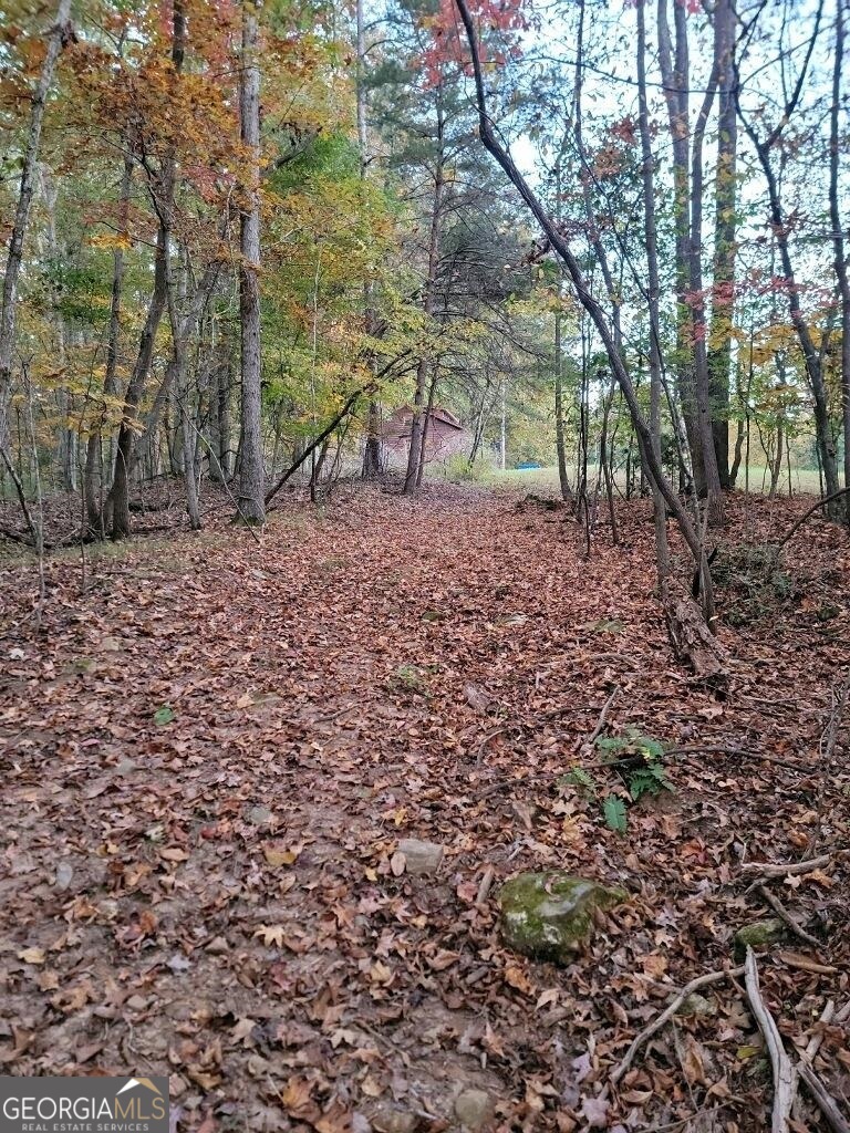 3720 McEver Road Oakwood, GA 30566 - Photo 54 of 73 a view of a yard with plants and trees