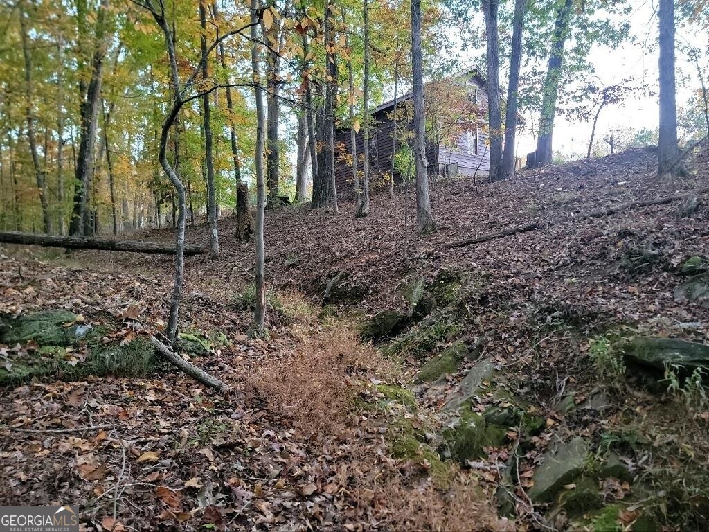 3720 McEver Road Oakwood, GA 30566 - Photo 55 of 73 a backyard of a house with lots of green space