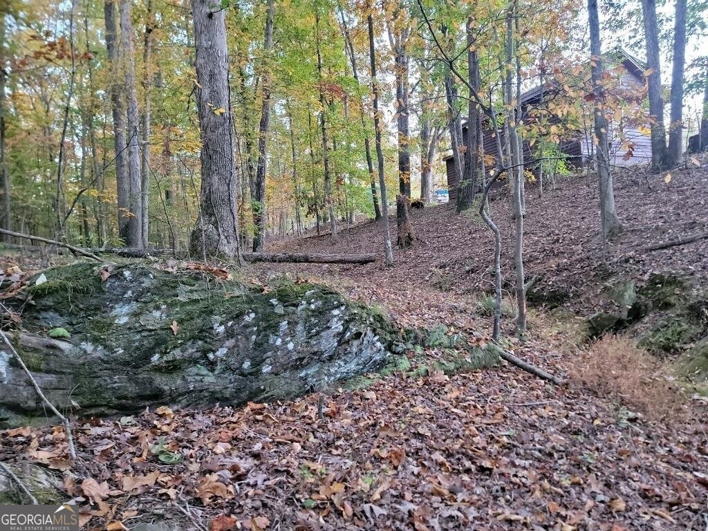 3720 McEver Road Oakwood, GA 30566 - Photo 56 of 73 a view of a forest filled with trees