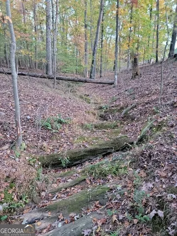 $1,749,991 | 3720 McEver Road, Oakwood, GA 30566