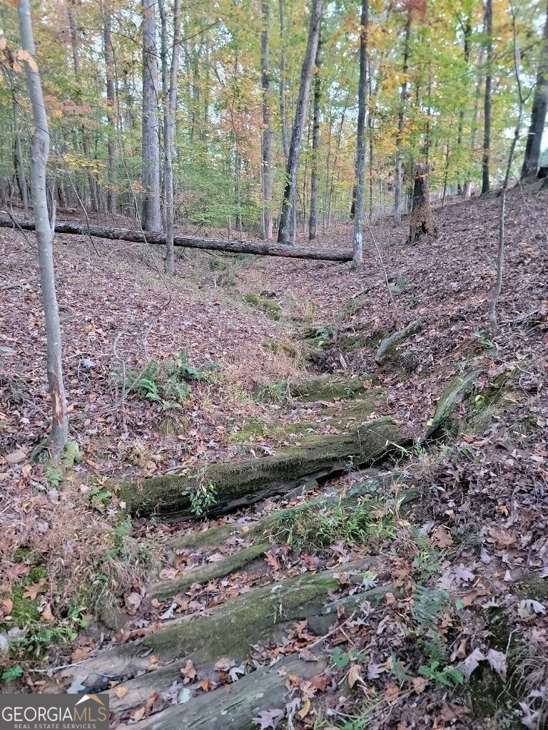 3720 McEver Road Oakwood, GA 30566 - Photo 58 of 73