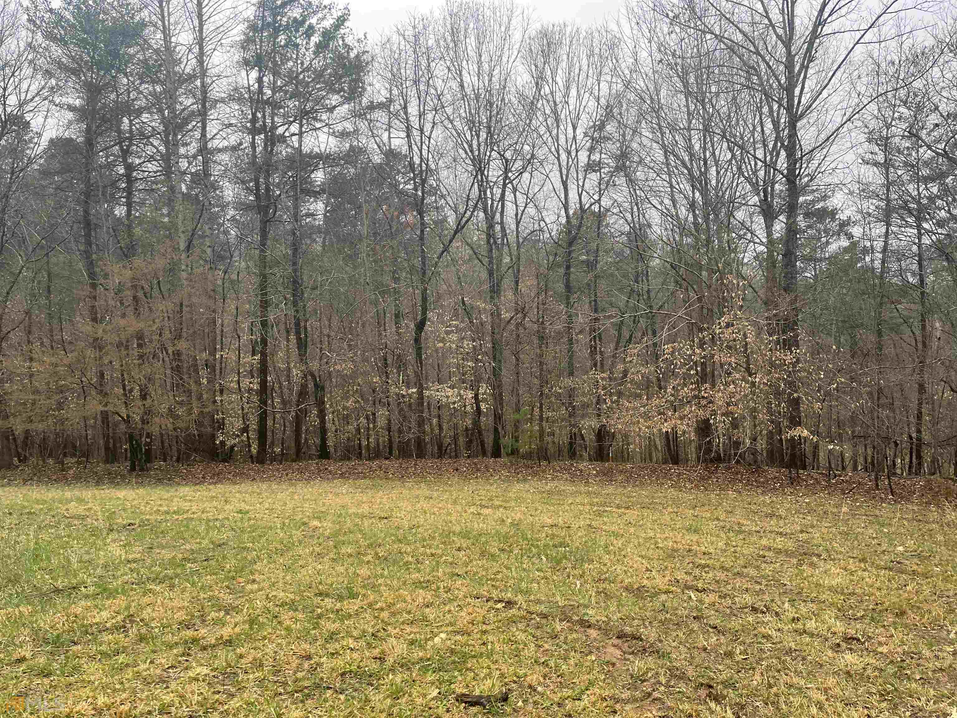 3720 McEver Road Oakwood, GA 30566 - Photo 6 of 73 a view of a yard with trees