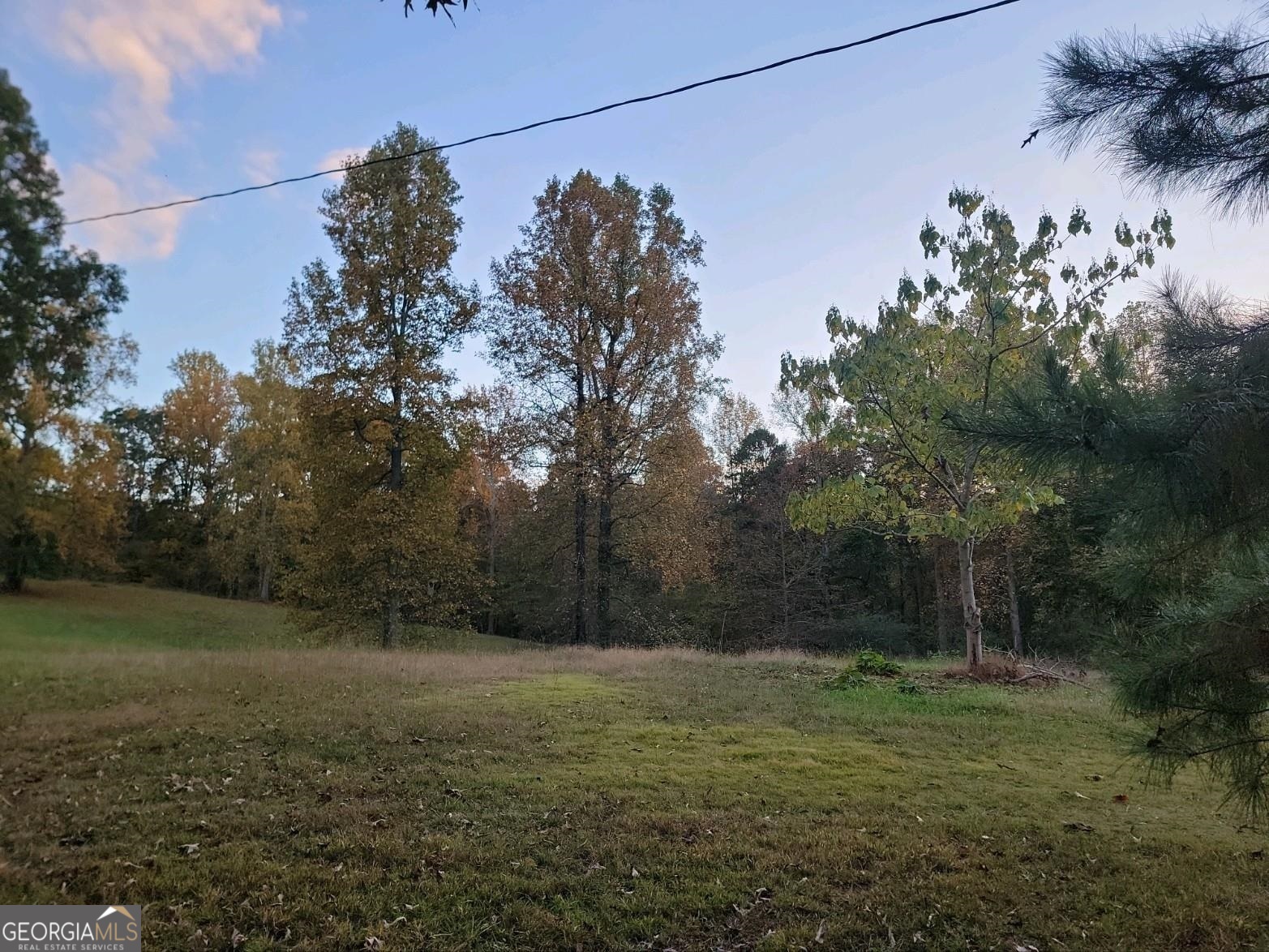 3720 McEver Road Oakwood, GA 30566 - Photo 61 of 73 a view of a yard