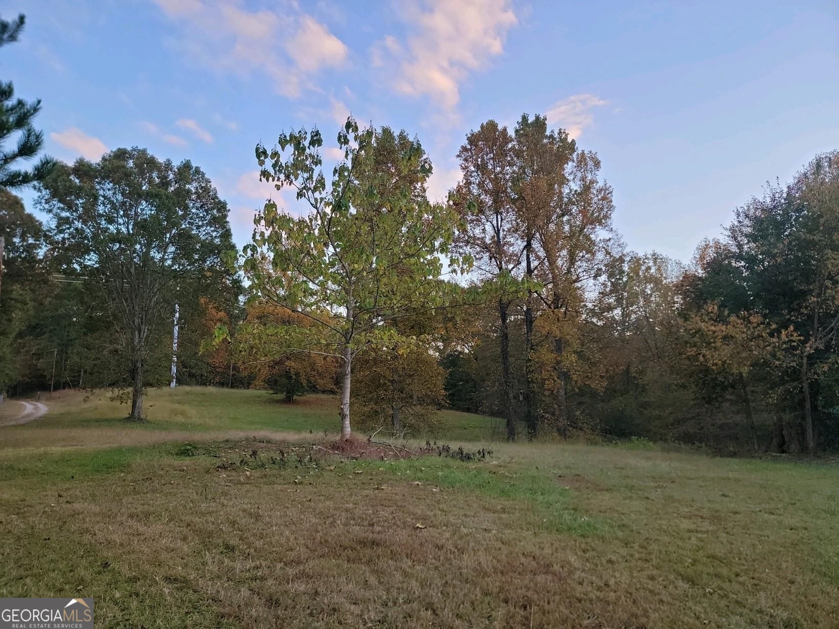 3720 McEver Road Oakwood, GA 30566 - Photo 62 of 73 a backyard of a house with lots of green space