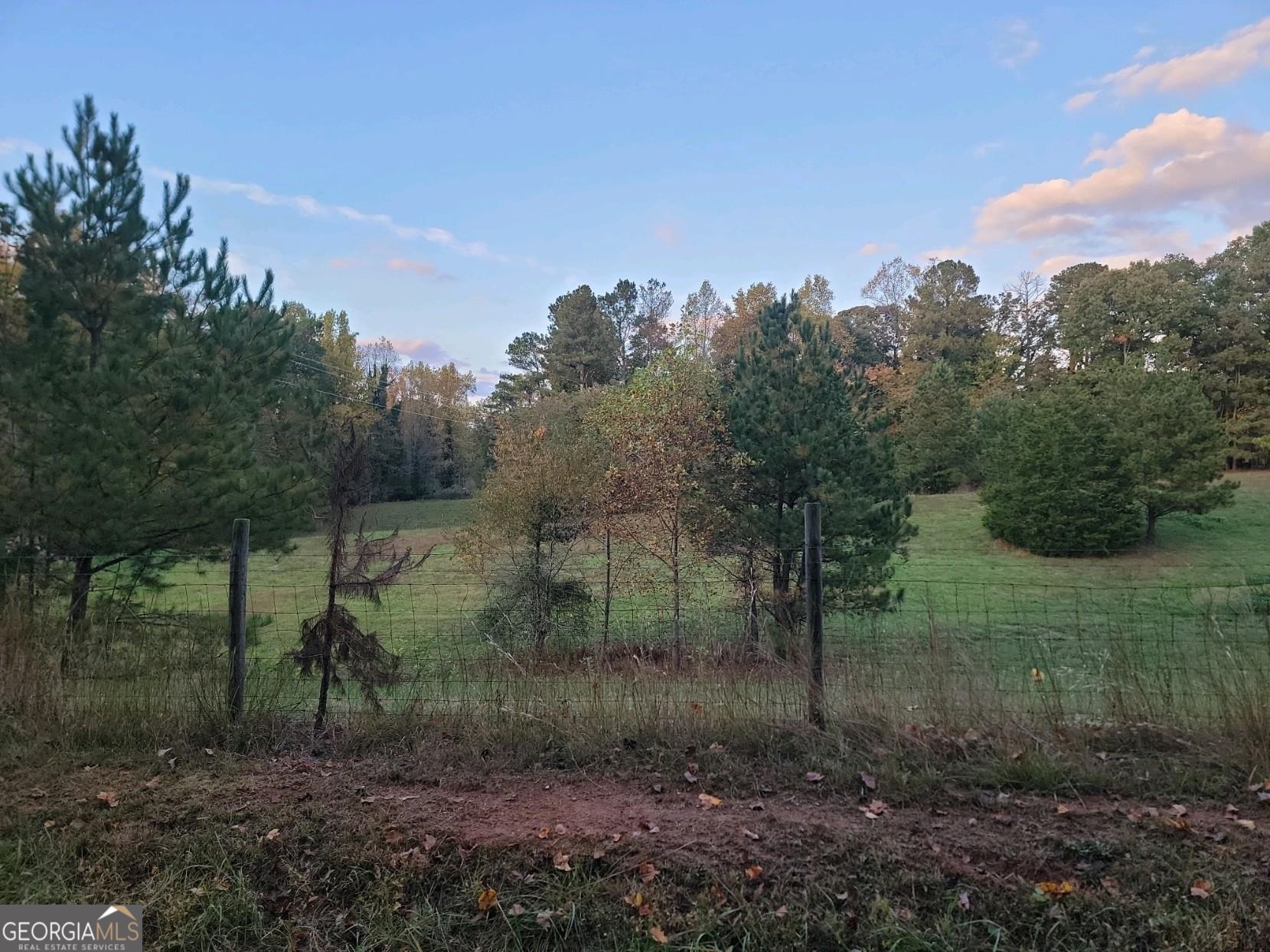 3720 McEver Road Oakwood, GA 30566 - Photo 69 of 73 a view of a forest with a tree in the background