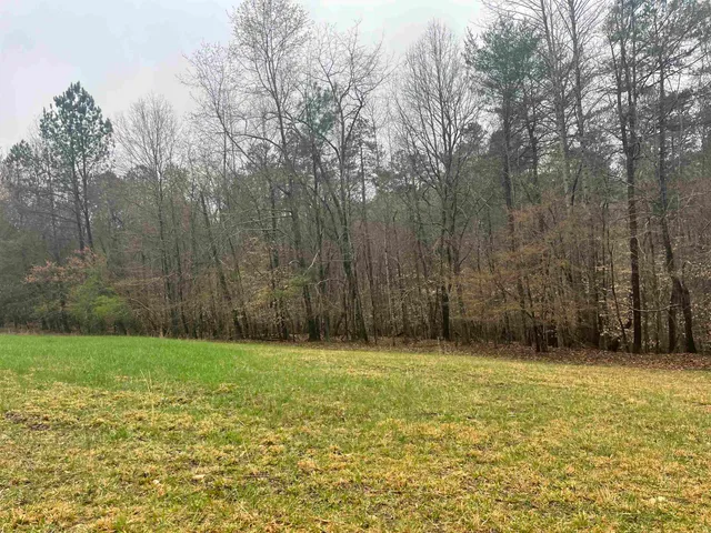 a front view of house with trees