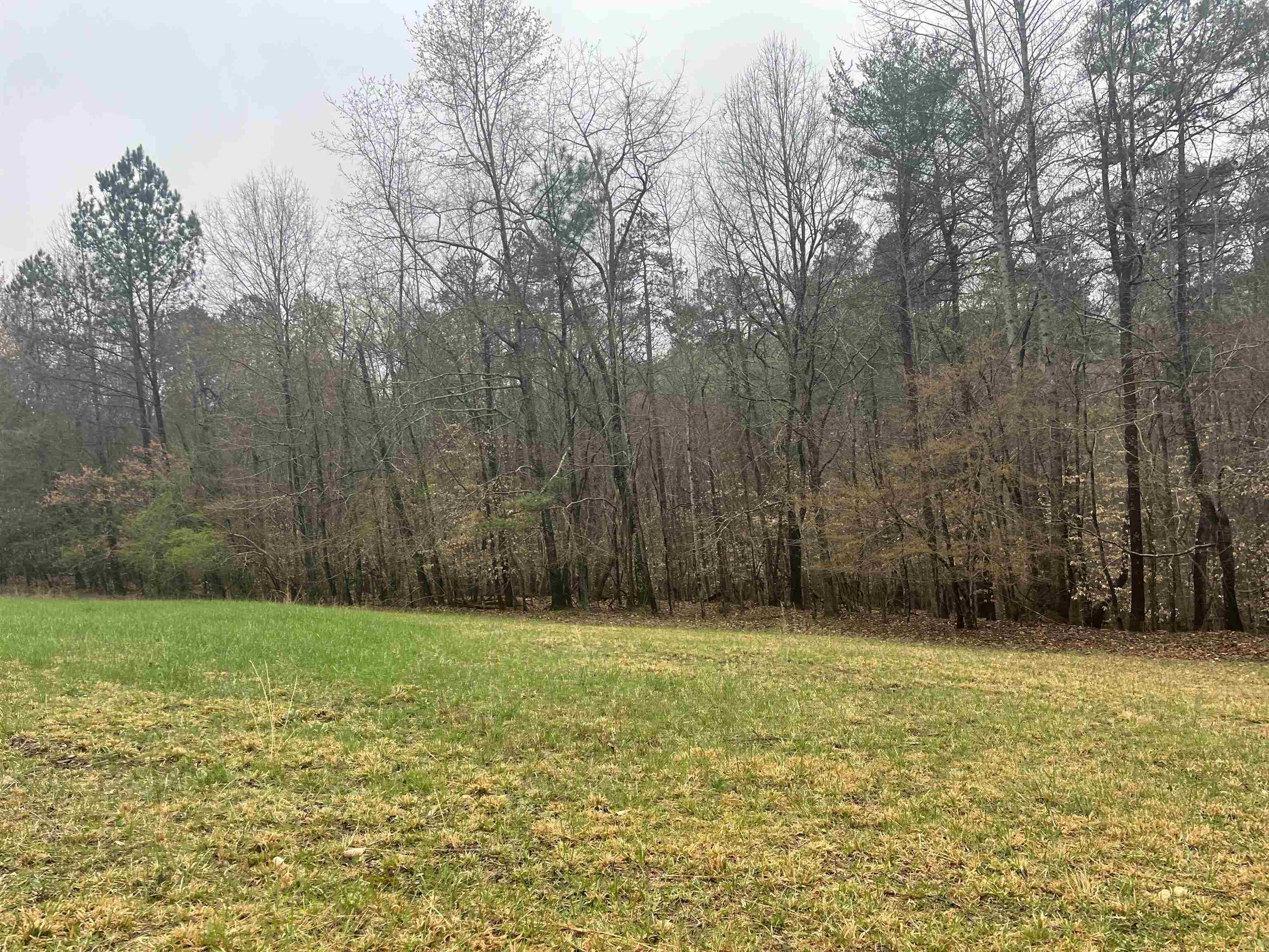 3720 McEver Road Oakwood, GA 30566 - Photo 7 of 73 a view of a yard with a house in the background