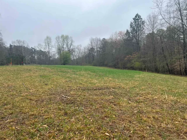 a view of a grassy field with trees in the background
