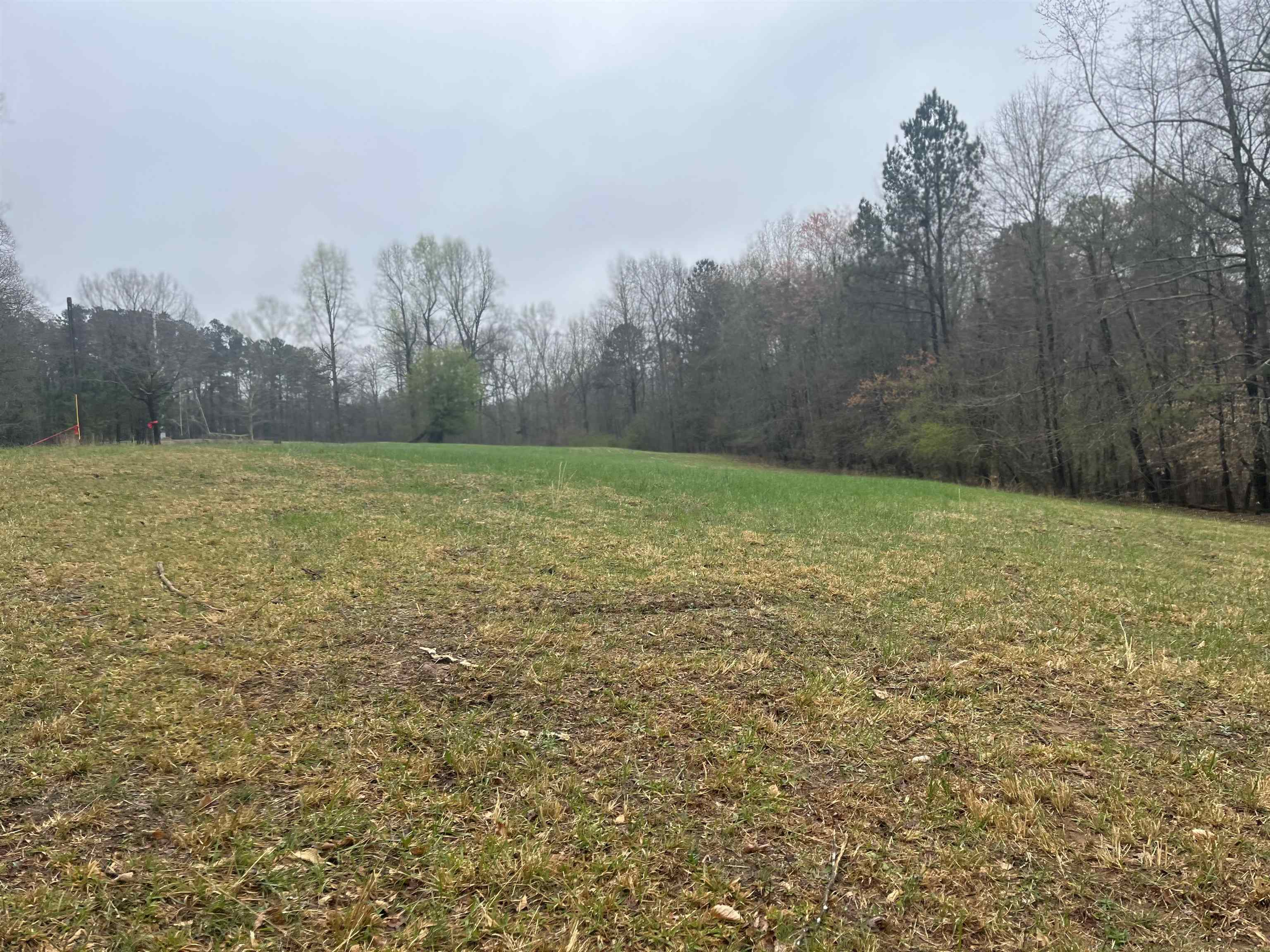 3720 McEver Road Oakwood, GA 30566 - Photo 8 of 73