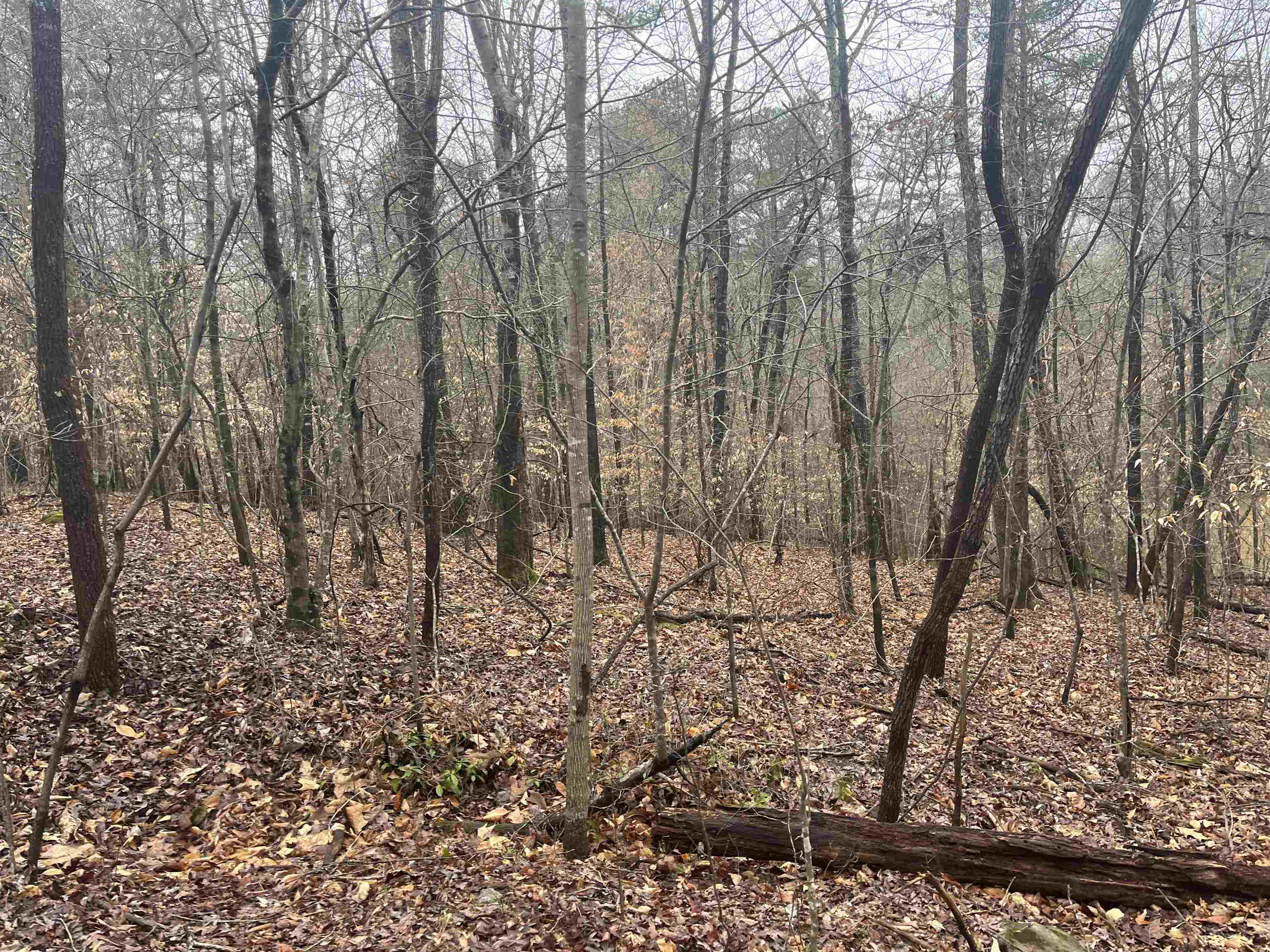 3720 McEver Road Oakwood, GA 30566 - Photo 9 of 73