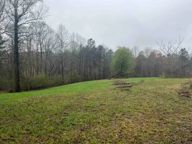 a view of a yard with large trees