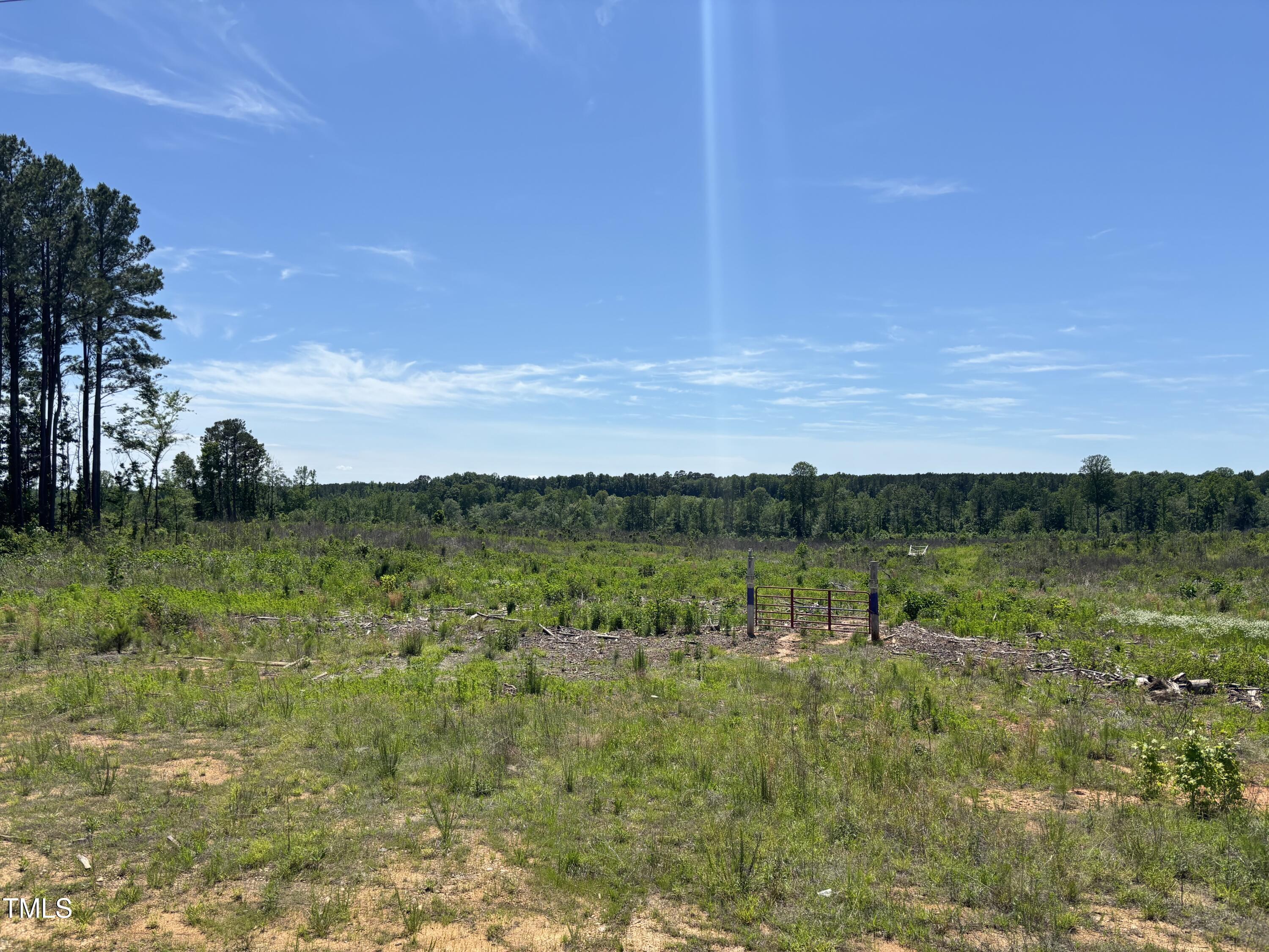 0 Cheeks Quarter Road Henderson, NC 27537 - Photo 2 of 5 a view of lake with green space